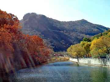 上刘村委会最新招聘信息汇总